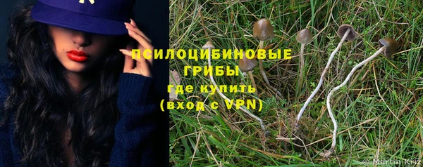 молекула духа Новозыбков