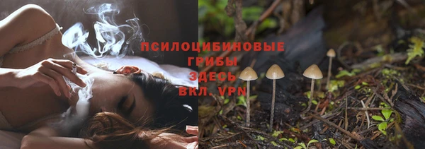 MDMA Новодвинск