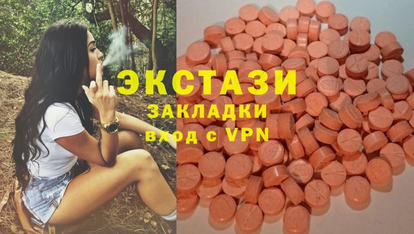 молекула духа Новозыбков