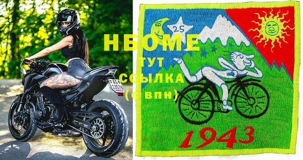 молекула духа Новозыбков