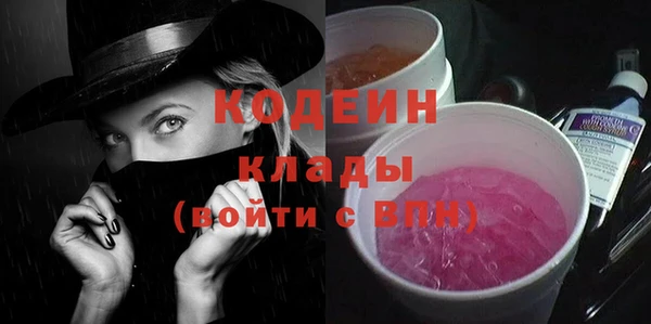 молекула духа Новозыбков