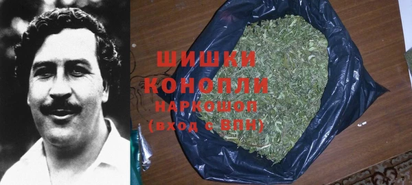 MDMA Новодвинск