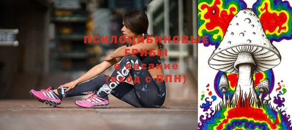 молекула духа Новозыбков
