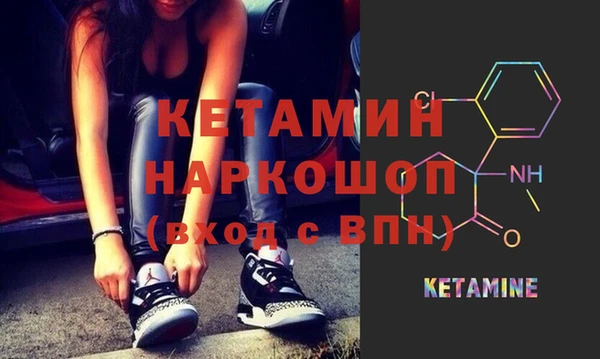 молекула духа Новозыбков