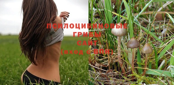 молекула духа Новозыбков
